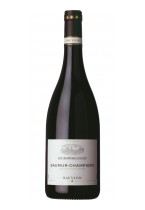 Saumur Champigny Still wines Cabernet Franc Les Gravières du Roy Les Gravières du Roy  2021
